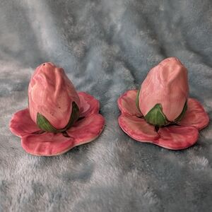 Franciscan Desert Rose 🌹 Pink Flower Bud Salt and Pepper Set